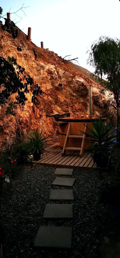 Casa Ollagua Hotell Vicuña Eksteriør bilde