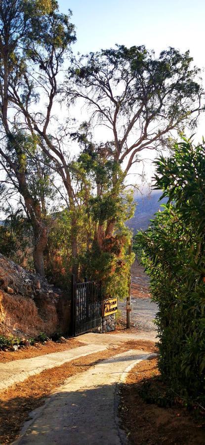 Casa Ollagua Hotell Vicuña Eksteriør bilde