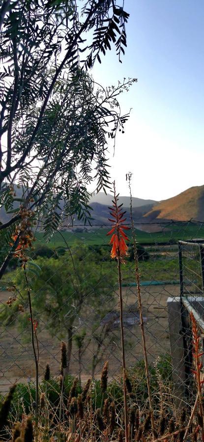 Casa Ollagua Hotell Vicuña Eksteriør bilde